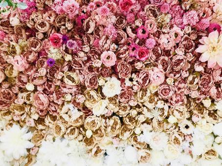 鮮やかな花 鮮やかな花の写真