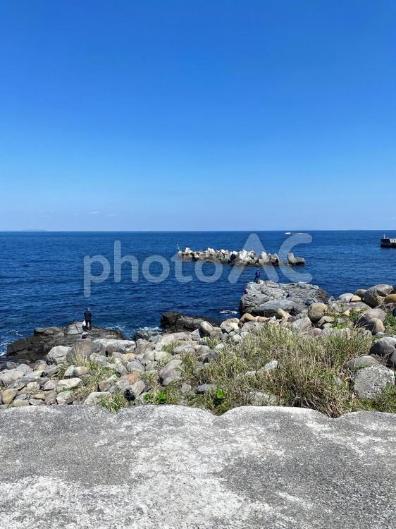 伊豆の離島、初島の海 初島,海,水平線の写真素材