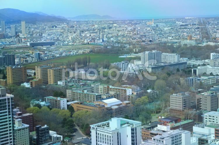 JRタワーから北大キャンパス jrタワー,北大,札幌の写真素材