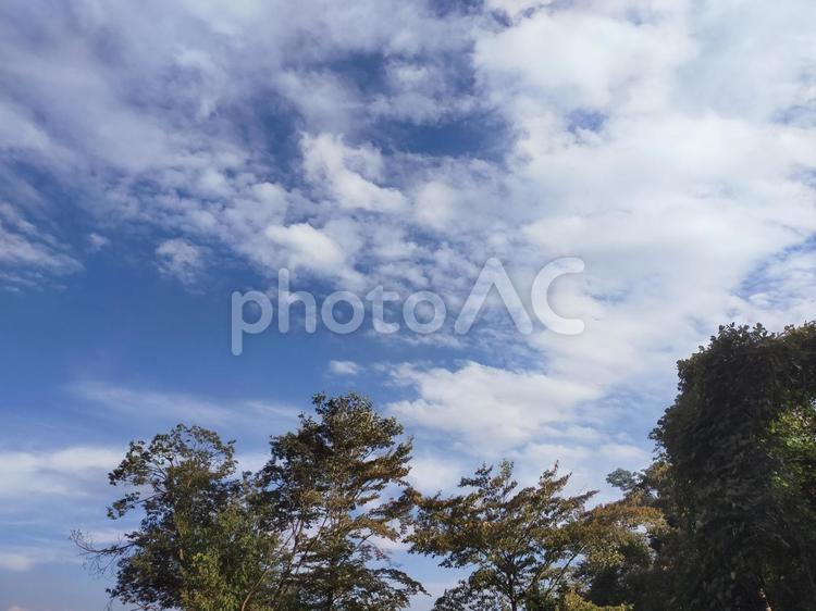 晴れた日の秋空の写真 景色,お天気,昼の写真素材