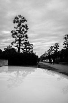 曇り空 曇り空の写真