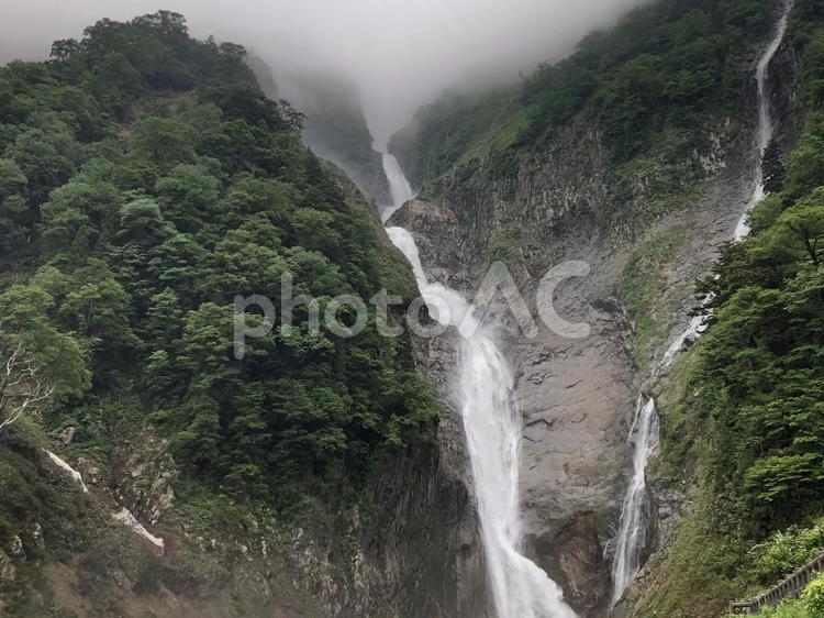新緑の山と滝　称名滝　富山県立山町 称名滝,新緑,山の写真素材