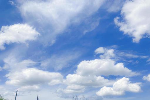 春の晴れた空 春の晴れた空の写真