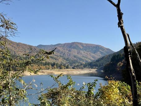 秋晴れの九頭竜湖　紅葉の山肌 九頭竜川,夢のかけはし,吊り橋の写真素材