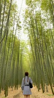 竹林に立つ女性 竹林に立つ女性 竹林,竹薮,竹の写真素材