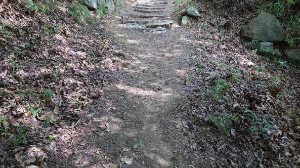 ハイキング道 ハイキング道の写真