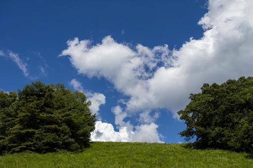 ７月の菅平高原でハイキング 風景,菅平高原,日本の写真素材