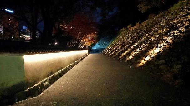 和歌山城紅葉渓庭園のライトアップ 和歌山城紅葉渓庭園のライトアップ ライトアップ,夜景,紅葉の写真素材