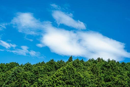 爽快な青空と森林 爽快な青空と森林 青空,真夏,入道雲の写真素材