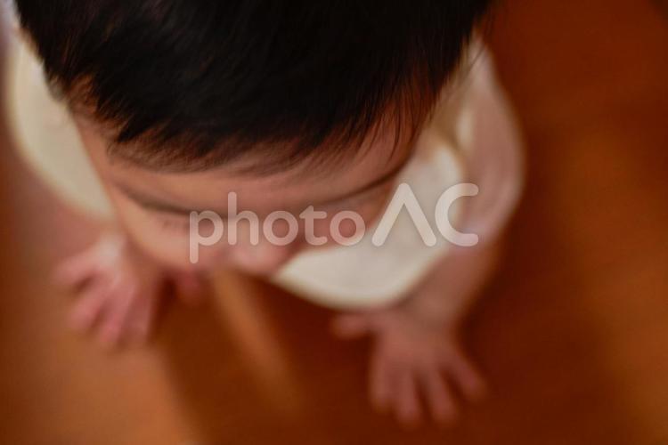 赤ちゃん　ハイハイ　上から　アップ 赤ちゃん,ハイハイ,上からの写真素材