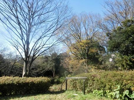 紅葉シーズン 紅葉シーズン 紅葉,秋,晩秋の写真素材