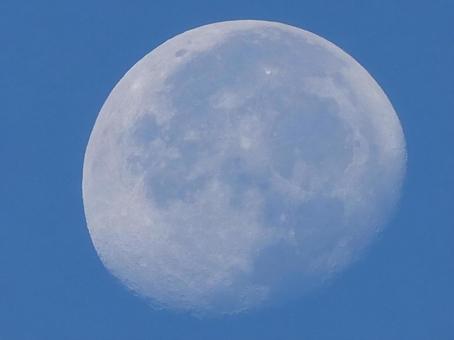 夜明けの空の月 月,朝,天体の写真素材
