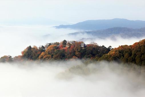 天空の山城 天空の山城 天空の城,天空の山城,備中松山城の写真素材