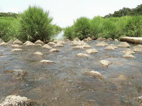 川 川 川,河,河川の写真素材
