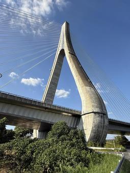 豊田アローズブリッジ 豊田アローズブリッジ,矢作川,橋の写真素材