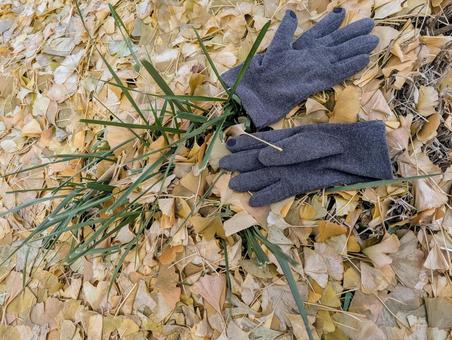 初冬のある暖かい日 手袋,枯れ葉,冬の写真素材