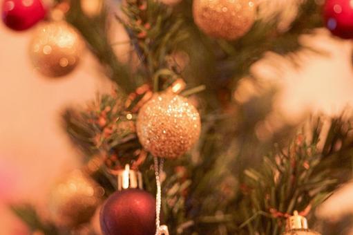 クリスマスツリー クリスマスツリーの写真