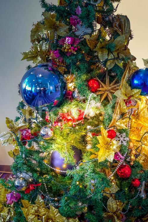 クリスマスツリーの装飾のイメージ クリスマス,装飾,クリスマスツリーの写真素材