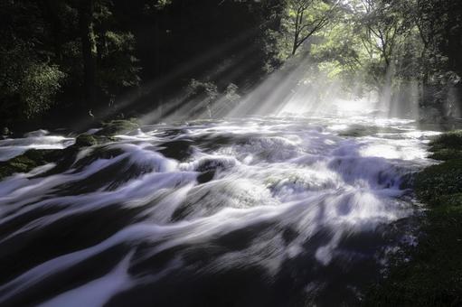 熊本-【菊池渓谷の光芒】 熊本-【菊池渓谷の光芒】 熊本,菊池渓谷,川の写真素材