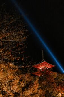 京都　清水寺三重塔　紅葉　ライトアップ 清水寺,三重塔,京都の写真素材