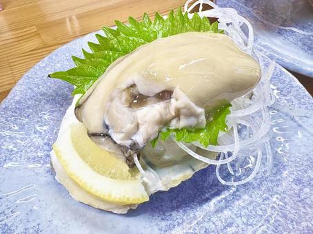 夏の岩牡蠣最後だよ 夏の岩牡蠣最後だよの写真