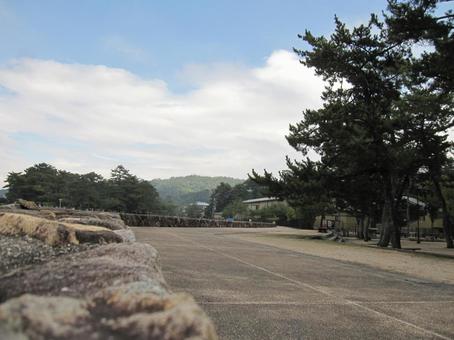 夏の路上 夏の路上の写真