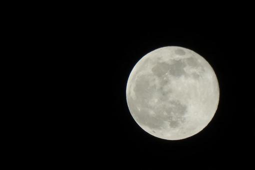 December Full Moon "Cold Moon" Night Moon Series 6, JPG December Full Moon "Cold Moon" Night Moon Series 6, month, night sky, rabbit, JPG