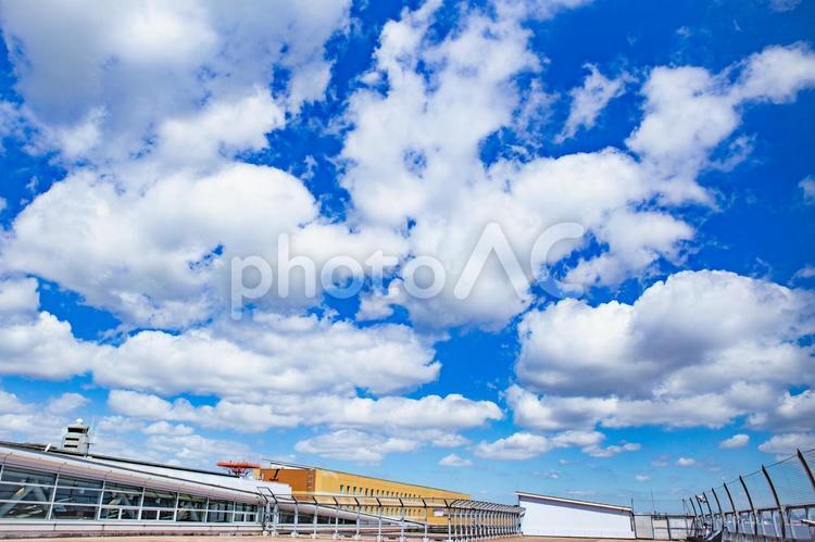 夏空と白い雲 羽田空港の屋上から 羽田空港,夏空,白い雲の写真素材