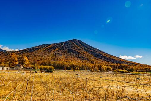 栃木県・奥日光　戦場ヶ原の紅葉風景　 戦場ヶ原,紅葉,秋の写真素材