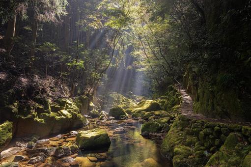 三重-【赤目四十八滝（紅葉）】 赤目四十八滝,赤目四八滝,川の写真素材