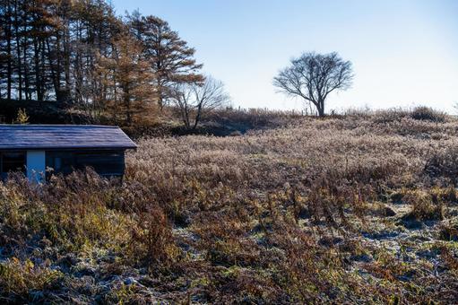 霜が降りた野に立つ小屋と一本の木 一本木,霜,凍てつくの写真素材