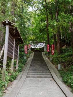 船迫熊野神社⑷ 船迫熊野神社⑷ 神社,船迫熊野神社,神社仏閣の写真素材
