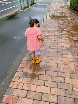 水たまりに入ってみる女の子 水たまりに入ってみる女の子 少女,子供,2歳の写真素材