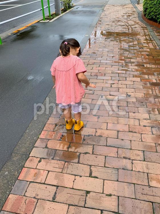 水たまりに入ってみる女の子 少女,子供,2歳の写真素材