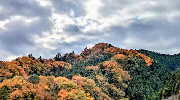 秋の山4 秋の山4の写真