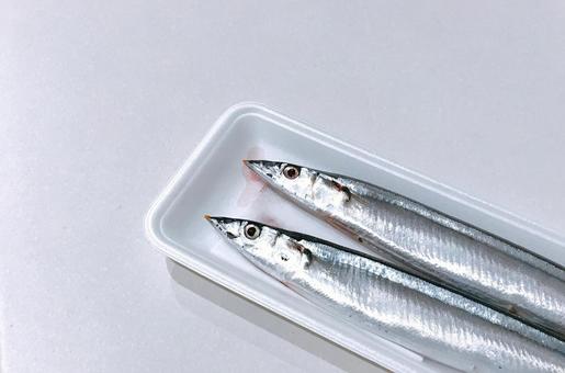 秋刀魚 秋刀魚の写真