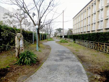 2016年2月、大船松竹公園の工事５ 公園,広場,道の写真素材