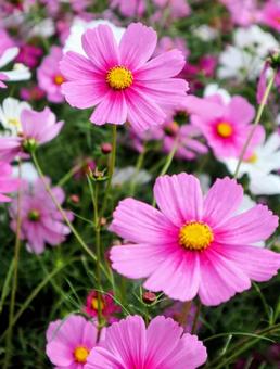 鮮やかな世界の写真