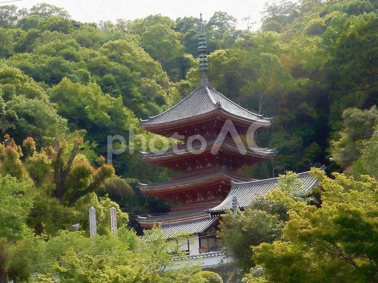 【風景写真】明王院の風景 風景,自然,風景写真の写真素材
