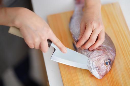 鯛に包丁を入れる手 鯛に包丁を入れる手 魚,料理,鯛の写真素材