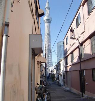 十二月の東京スカイツリー-7 十二月,冬,東京スカイツリーの写真素材
