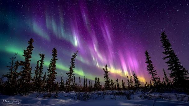 ツンドラ上空に輝く緑色のオーロラ ツンドラ上空に輝く緑色のオーロラの写真