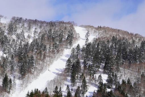 スキー場 スキー場の写真