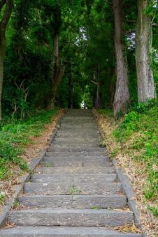 Photo, a shrine, shimizumine shrine, shrines and temples, 