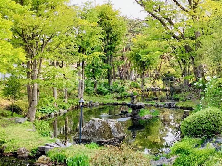初夏の盛岡城跡公園の池 観光,盛岡,岩手の写真素材