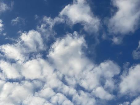 神田川10月:秋のひつじ雲 2025 神田川10月:秋のひつじ雲 2025 ひつじ雲,晴れ,空の写真素材