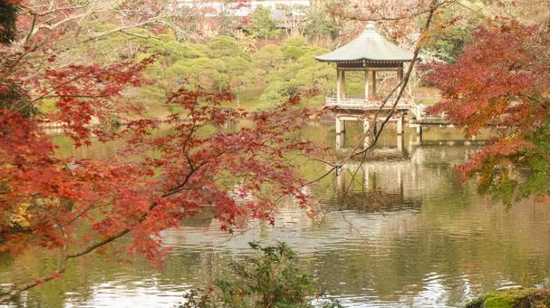 成田山公園の龍智池と浮御堂 成田山公園の龍智池と浮御堂 成田山公園,龍智池,浮御堂の写真素材