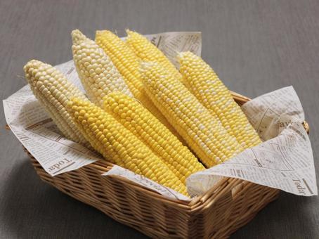 カゴに入ったとうもろこし/横 カゴに入ったとうもろこし/横 とうもろこし,トウモロコシ,コーンの写真素材