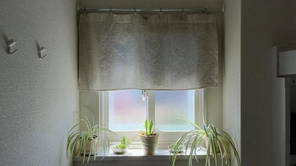 西日を避ける窓際のカーテンと観葉植物 西日を避ける窓際のカーテンと観葉植物 植物,観葉植物,窓際の写真素材