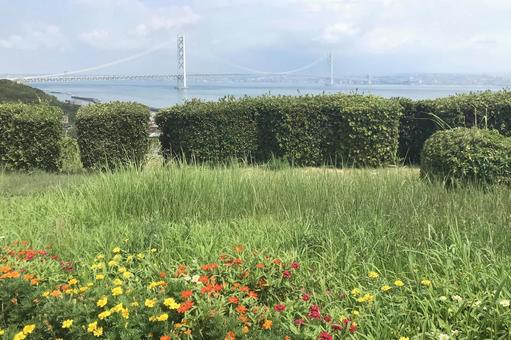 明石海峡大橋 明石海峡大橋の写真